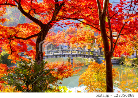 永観堂 紅葉 京都 永観堂 紅葉 京都 128350869