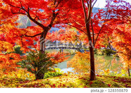 永観堂 紅葉 京都 永観堂 紅葉 京都 128350870