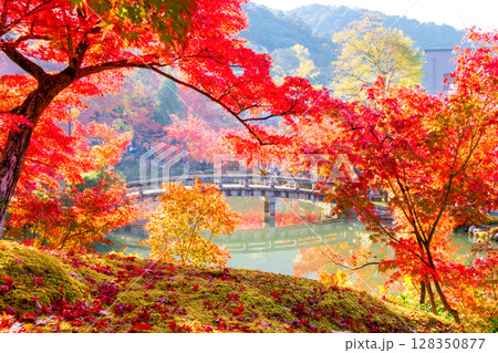 紅葉の永観堂 京都 紅葉の永観堂 京都 128350877