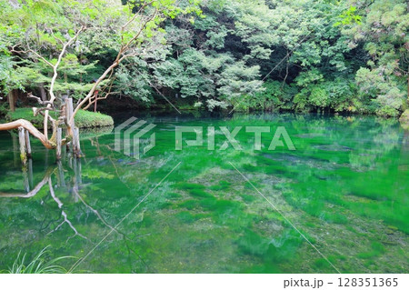 日本名水百選　出流原弁天池湧水 128351365