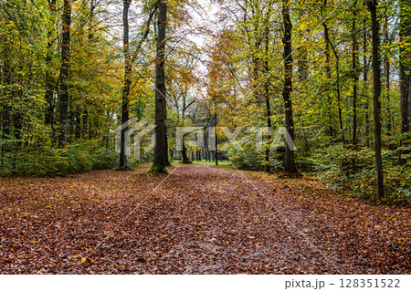 Golden autumn view in famous Munich relax place - Englischer Garten. Munich, Bavaria, Germany Golden autumn view in famous Munich relax place - Englischer Garten. Munich, Bavaria, Germany 128351522
