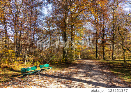 Golden autumn view in famous Munich relax place - Englischer Garten. Munich, Bavaria, Germany Golden autumn view in famous Munich relax place - Englischer Garten. Munich, Bavaria, Germany 128351577