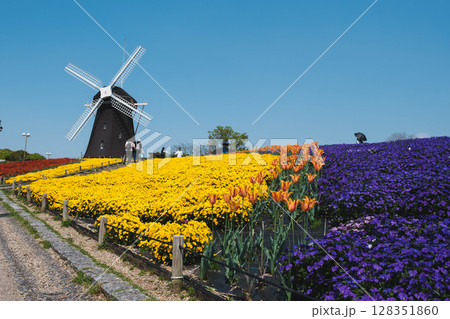 [花博記念公園 鶴見緑地]大きな風車と満開のきれいな花が咲く美しい公園 128351860