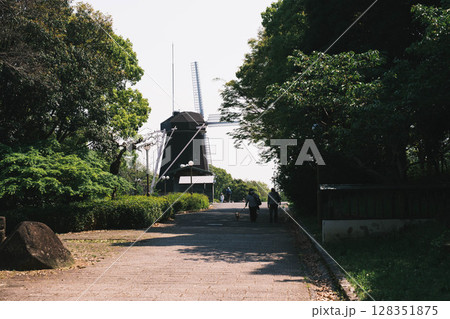 [花博記念公園 鶴見緑地]大きな風車と満開のきれいな花が咲く美しい公園 128351875
