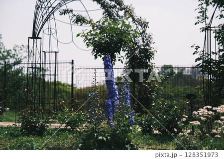 [花博記念公園 鶴見緑地]満開のきれいな花が咲く美しい公園 128351973