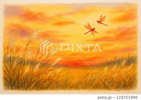 夕焼け　赤蜻蛉　ススキ野原 128351998