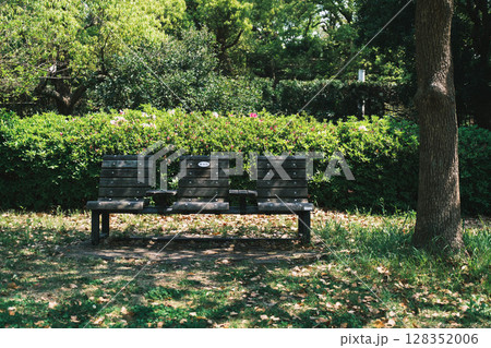 [花博記念公園 鶴見緑地]満開のきれいな花が咲く美しい公園 128352006