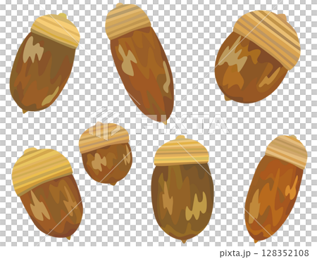 Acorn illustration set vector material 128352108