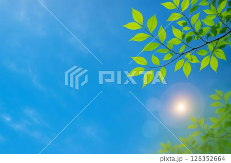 晴天 青空 若葉 イメージ 晴天 青空 若葉 イメージ 128352664