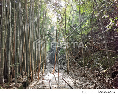 旧国鉄倉吉線跡⑪ 128353273