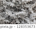 Winter landscape background 128353673