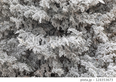 Winter landscape background 128353673