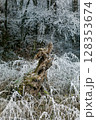 Winter landscape background 128353674