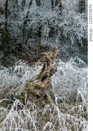 Winter landscape background 128353674