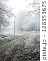 Winter landscape background 128353675