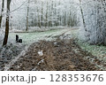 Winter landscape background 128353676