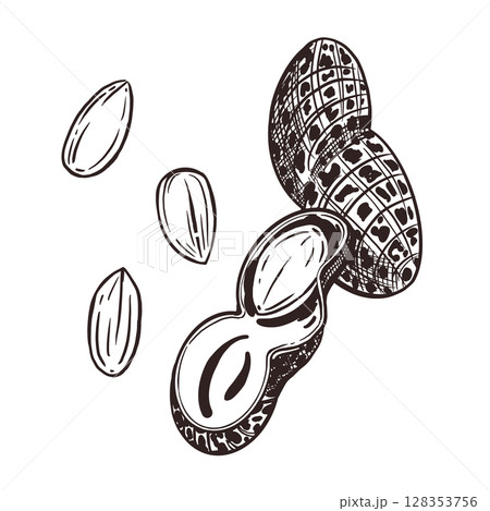 A set of vector illustrations. Peanuts, peanuts, kernels and inshell peanuts. All objects are hand-drawn with ink. For printing on paper and fabric, nut packaging design, tableware printing. A set of vector illustrations. Peanuts, peanuts, kernels and inshell peanuts. All objects are hand-drawn with ink. For printing on paper and fabric, nut packaging design, tableware printing. 128353756
