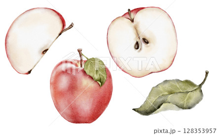 Watercolor red apples, apple slices and leaf isolated on white. Hand painted botanical illustration of red fruit for winter or autumn compositions, cards, prints and fabric design. 128353957