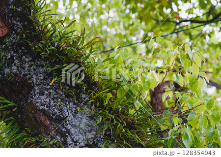 [岸城神社]自然豊かな風景 128354043