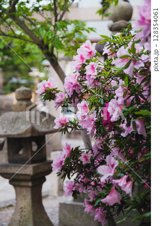 [岸城神社]美しいツツジ 128354061