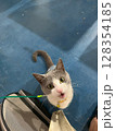 An adorable grey and white cat looking up with wide eyes and an open mouth. 128354185