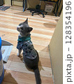 Adorable grey and white cat wearing a camouflage patterned shirt, sitting indoors. 128354196