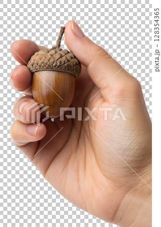 Hand holding detailed acorn isolated, autumn nature symbol with textured cap and nut 128354365