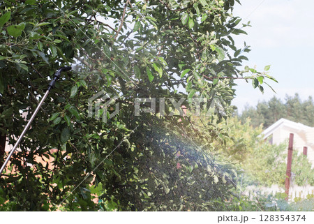 Wide garden view of tree spraying with visible water mist forming a rainbow in the sunlight. Concept of gardening and plant treatment. Bright summer scene with natural colors. Wide garden view of tree spraying with visible water mist forming a rainbow in the sunlight. Concept of gardening and plant treatment. Bright summer scene with natural colors. 128354374