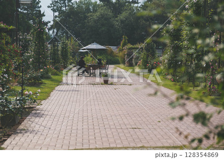 [浜寺公園ばら庭園]美しいバラが咲く庭園の風景 128354869