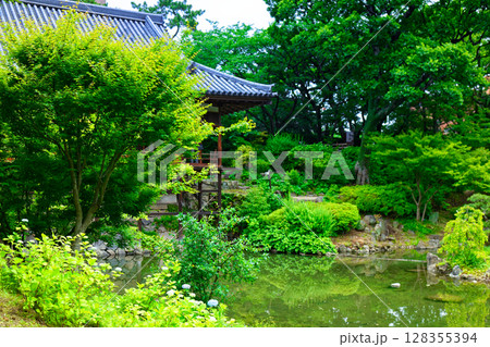 若葉と新緑の小倉城庭園　書院棟　紫陽花 128355394