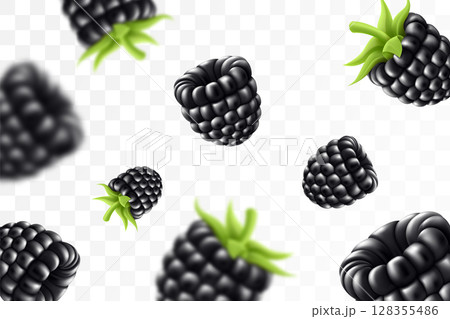Blackberry background. Flying blackberry with green leaf on transparent background. Blackberry falling from different angles. Focused and blurry objects. 3D realistic vector. 128355486