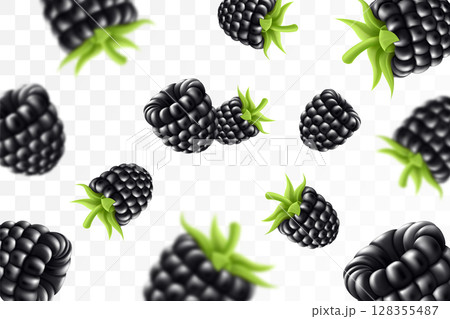 Blackberry background. Flying blackberry with green leaf on transparent background. Blackberry falling from different angles. Focused and blurry objects. 3D realistic vector. 128355487