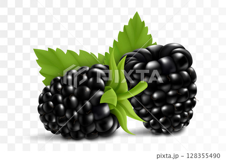 Fresh blackberry with stem and leaf, isolated on transparent background, 3d realistic vector berries 128355490