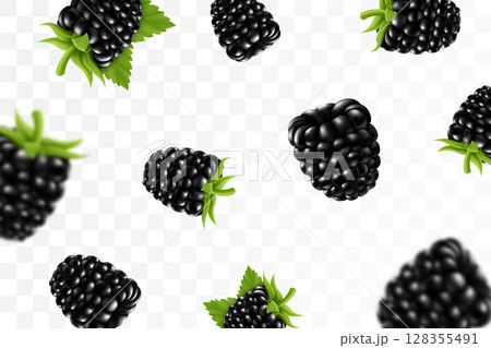 Blackberry background. Flying blackberry with green leaf on transparent background. Blackberry falling from different angles. Focused and blurry objects. 3D realistic vector. 128355491