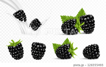 Whole and slice of blackberry. Blackberry in a splash of milk or yogurt, 3d realistic isolated vector set 128355493