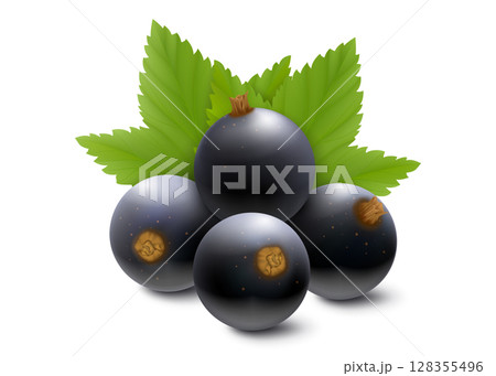 Black currant or blueberry. Realistic 3d vector illustration of berries and green leaves, isolated on white background. 128355496