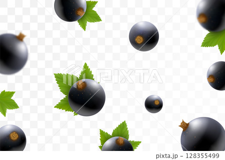 Black currant or Blackberry background. Flying blackberry with green leaf on transparent background. Blackberry falling from different angles. Focused and blurry objects. 3D realistic vector. Black currant or Blackberry background. Flying blackberry with green leaf on transparent background. Blackberry falling from different angles. Focused and blurry objects. 3D realistic vector. 128355499