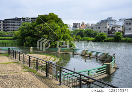舟渡水辺公園　東京都板橋区舟渡 128355575