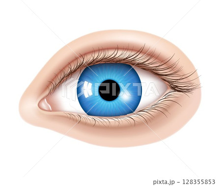 Vector 3d realistic human eye without makeup. Glossy blue iris with a macro details. Facial element on a skin background. Useful for design of laser vision correction and also make up, cosmetics. Vector 3d realistic human eye without makeup. Glossy blue iris with a macro details. Facial element on a skin background. Useful for design of laser vision correction and also make up, cosmetics. 128355853