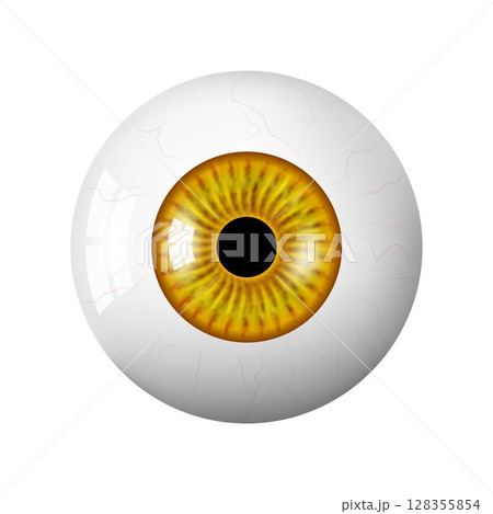 Realistic human brown eyeball. The retina is the foreground. Vector 3d illustration. Realistic 3d vector illustration isolated on white background Realistic human brown eyeball. The retina is the foreground. Vector 3d illustration. Realistic 3d vector illustration isolated on white background 128355854