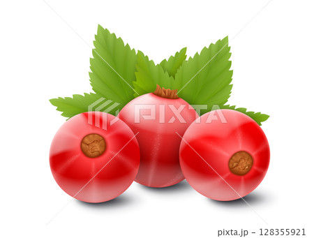 Red currant. Realistic 3d vector illustration of berries and green leaves, isolated on white background. 128355921