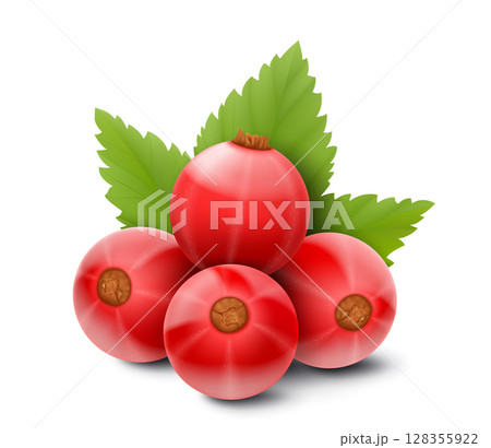 Red currant. Realistic 3d vector illustration of berries and green leaves, isolated on white background. 128355922
