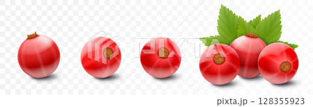 Red currant. Realistic 3d vector illustration of berries and green leaves, isolated on white background. 128355923
