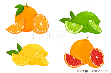 Set of citrus lemon, mandarin, lime, orange, grapefruit - whole, cut half. Fresh sour citrus fruit with vitamins. Piece and slice citrus. Vector illustration isolated on white background 128356060