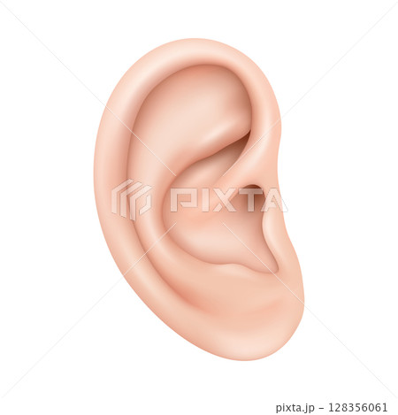Realistic human ear isolated on white background. Human ear organ hearing health care closeup 3d realistic isolated icon design vector illustration 128356061