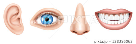 Realistic Human face parts or sensory organs set. Body parts Eye, Ear, Nose, Lip Vector isolated. Educational anatomy visual aid poster template.Human biology, organs anatomy. 128356062