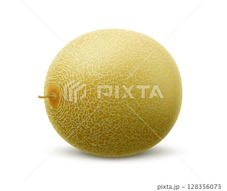 Fresh whole melon fruit isolated on white background. Honeydew melon. Summer fruits for healthy lifestyle. Advertising organic fruit. Realistic 3d Vector illustration for any design. 128356073