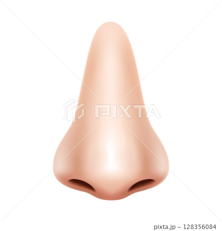 Human Nose front view. Realistic Background Isolated Design Vector 3d Illustration 128356084