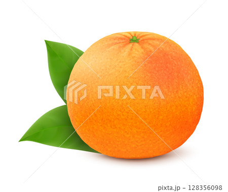Ripe juicy grapefruit with leaves, isolated on white background. Realistic 3d vector illustration. 128356098