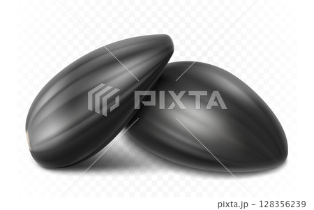 Ripe sunflower seed, detailed realistic 3d vector. isolated on white background, close-up 128356239